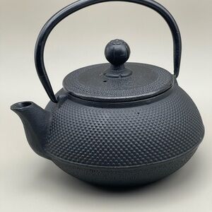 Cast Iron Tea Kettle | Black Enamel Lined | Hobnail Japanese Style Teapot